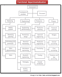 Functional Departmentalization Advantages And Disadvantages