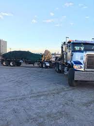 The main reason for this is that in cool or cloudy conditions many people are unaware that they are still vulnerable to the. Moving Trees In Greater Vancouver Can Ridge Moving Solutions