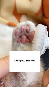 Henrietta Abbott (henrietta1965)