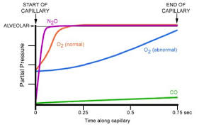 Diffusion Limited And Perfusion Limited Oxygen Transport Respiratory Medbullets Step 1