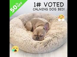 Made with long luxury plush and super soft our soothing pet bed is a perfect dog bed or cat bed. Pin On Animal Health Remedies