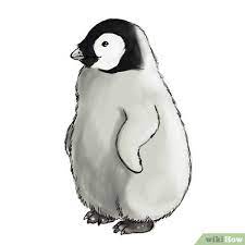 Click image for bigger version step 3: How To Draw A Baby Penguin 6 Steps With Pictures Wikihow