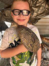 Ringneck Pheasant Eggs for Sale near Alexandria
