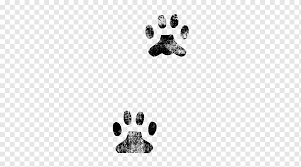 These dog paw print tattoos will have you heading over to your tattoo artist, with your favorite design in hand. Wildcat Kitten Paw Cat Paw Prints Texture Ink Pet Png Pngwing