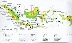 Peta persebaran fauna indonesia berdasarkan garis wallace dan garis weber. Jenis Jenis Peta Donisaurus