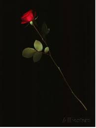 Pin On Wallpapers Collages