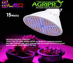 These led grow lights aren't just cheap, but they are valued for money as well! 15 Watts Grow Light Spcl Global