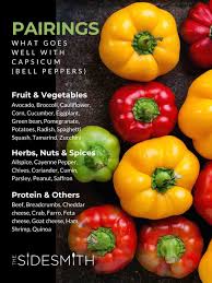 Image result for Capsicum