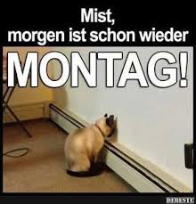 Mist Morgen Ist Schon Wieder Montag Debeste De Lustige Bilder Lustige Bilder Lustige Humor Bilder Lustig