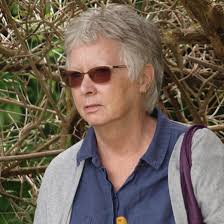 Looking at adding to the school forest area. If anyone has any milk crates,  tyres, wooden planks, tree stumps or smaller tree branches children could  use to build or saw discs off