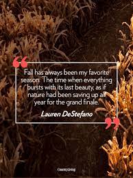 Pin On Quotes And Sayings