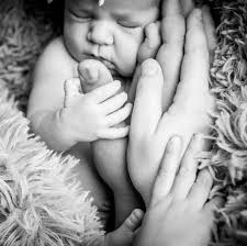 Lisa Eley Photography