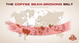 Best Coffee Comes From What Country Coffee Beans Types Of Coffee Beans Coffee Blog