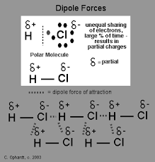 In contrast, intramolecular forces act within molecules. Http Www Elmwoodparkschools Org Common Pages Displayfile Aspx Itemid 4693017