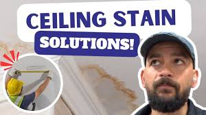 How to Diagnose if a Ceiling Stain is an Active Leak