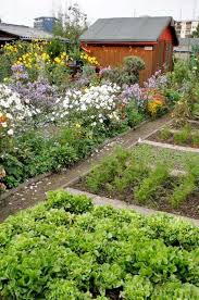 Ein schrebergarten wird gemeinhin auch als kleingarten oder parzelle bezeichnet. Spass Im Schrebergarten Und Kleingarten Mein Schoner Garten