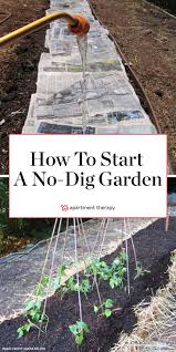 You can sow them indoors six to eight weeks before the start of the season (that is, before the last expected frost in your area). How To Start A No Dig Garden Step By Step No Dig Garden Starting A Garden Easy Garden