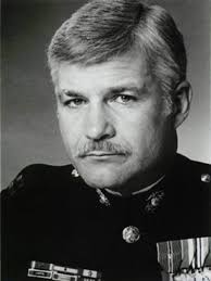 Vietnam veterans fight seditionists in action novels