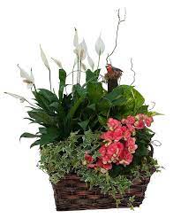 Living Blooming Garden Basket Garden Basket Fresh Flower Bouquets Flower Delivery