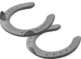 Horseshoe Png Image Horseshoe Png Png Images