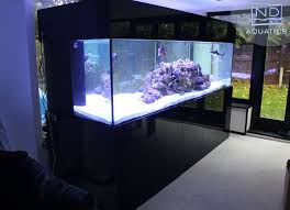Nd Customers Gallery Aquarium Manufacturers Fish Tank Tropical Fish Tanks Amazing Aquariums