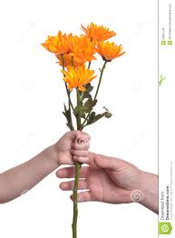 The meaning of the dream about pox reveals that pox and positive. Someone Giving You White Flowers In A Dream Dreams About Flowers Meaning And Interpretation