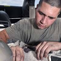 160928-N-IE397-014 ARABIAN GULF (Sept. 28, 2016) Aviation