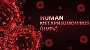 Hmpv Virus Cases In Haryana,HMPV के संभावित खतरे से पहले हरियाणा सतर्क,  स्वास्थ्य विभाग ने जारी की एडवाइजरी - hmpv virus cases in haryana alert  before the potential threat health department ...