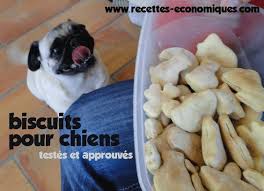 Biscuits Pour Chien Maison Recettes De Cuisine Avec Thermomix Ou Pas Recette Recettes De Biscuits Pour Chien Biscuits Pour Chiens Biscuits Pour Chiens Faits Maison