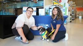 Petco Big Bear Adoption Event
