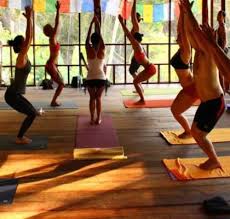 At satya om yogshala we host regular yoga workshops in ottawa led by our amazing teachers and also with other best yoga teachers and teacher trainers. 200 Hour Yoga Teacher Training Ottawa