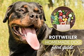 Here's an easy recipe for low carb breakfast bars that work great for grab and go mornings. Rottweiler Homemade Dog Food Recipes Nutrition Tips Canine Bible