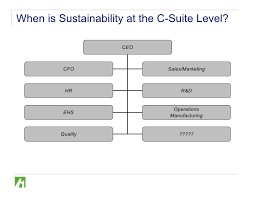 org structure sustainability amr 20090212