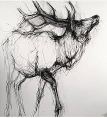 Pin By Mr Quinn On Art Animals Insects Birds Charcoal Art Scribble Art Animal Art