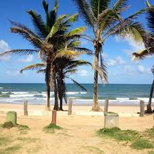 The area's natural beauty can be seen at other amenities include a garden. Praia Do Flamengo Stella Maris 210 Dicas