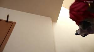 FSDSS-659 While my husband was on a business trip, I...