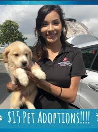 The surgery itself is free but we still require a $25 deposit to secure your appointment. Special 15 Pet Adoptions At San Antonio Animal Care Services Kabb