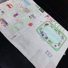 We did not find results for: Trey Science Teacher On Instagram How Awesome Did This Poster Turn Out The Cell Analogy Posters Were Pretty Gr Cell Analogy Zoo Project Science Teacher