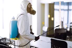 7 Pest Control Measures to Prevent Them in The Office [2025]