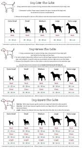 40 All Inclusive Golden Weight Chart