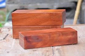 Kayu mahoni sendiri memiliki kualitas yang bagus dengan tingkat kekerasan yang kuat, pilihlah kayu mahoni yang sudah kering atau kisaran harga kayu mahoni sekarang berada di rp. Merk Terkenal Obat Jamur Permukaan Di Kayu Mahoni Anti Jamur