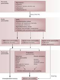 She died after prolonged hospitalization; The Role Of Alcohol And Smoking In Pancreatitis Nature Reviews Gastroenterology Hepatology