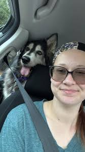 Rescue of Mia, a dog, from a shelter in South Carolina