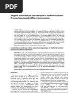 Image result for Syncolostemon oritrephes