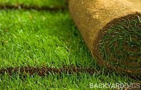 Small jobs of less than 500 square feet will, instead, be charged an hourly rate of $24 to $30 per hour. What S The Difference Hydroseeding Vs Sod Backyarddigs