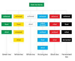 Nuances Of Tea Classification Tea Epicure Types Of Tea Yellow Tea Tea Infographic