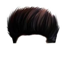 Top 200 Hair Png Download All New Cb Hair Style Png For Picsart Editing Zip Free Download All Ty Hair Png Photoshop Backgrounds Photoshop Digital Background