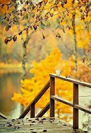 Add the source details in a comment. Best Hd Background Photos Images Pictures Free Download 2020 Allphotosshop