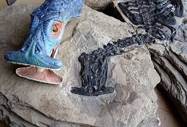 Der vorrang der erfindung des geräts und das land, in dem der kompass erfunden wurde, werden von. Streit Um Den Kompass Scinexx De