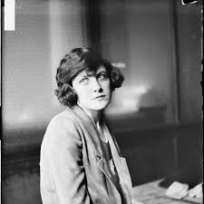 Image result for Copper Dark 1972 Montgomery Ward